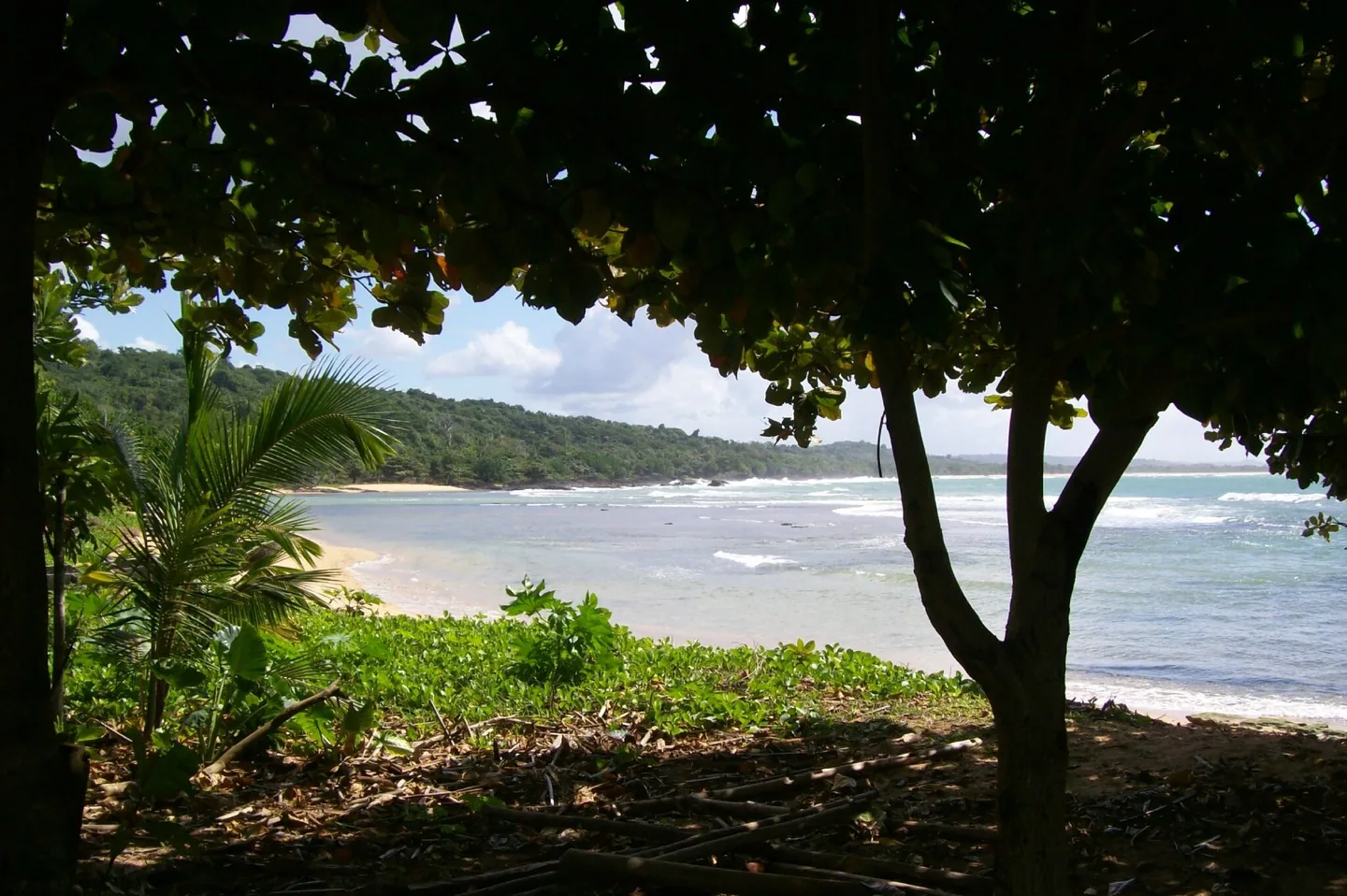 100_9967