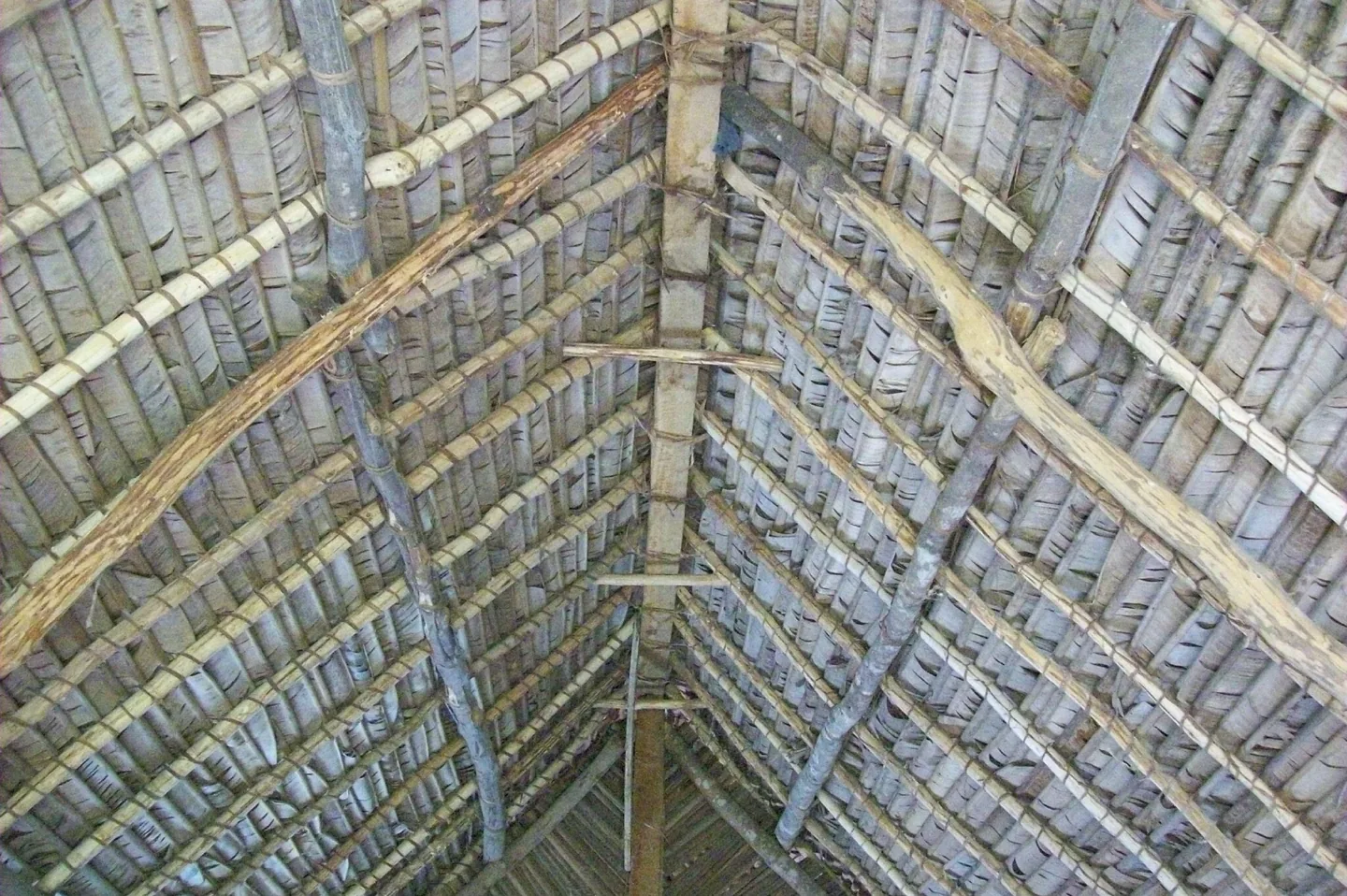 101_0115