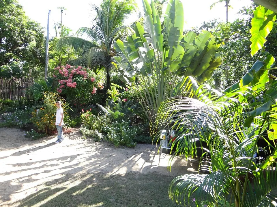 DSC01582 - Copie