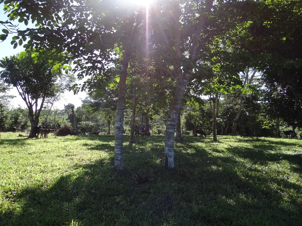 DSC02275 - Copie