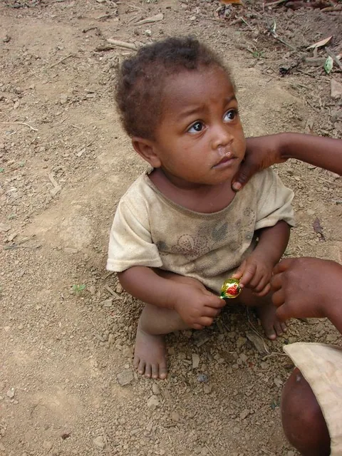 DSC05311___Copie